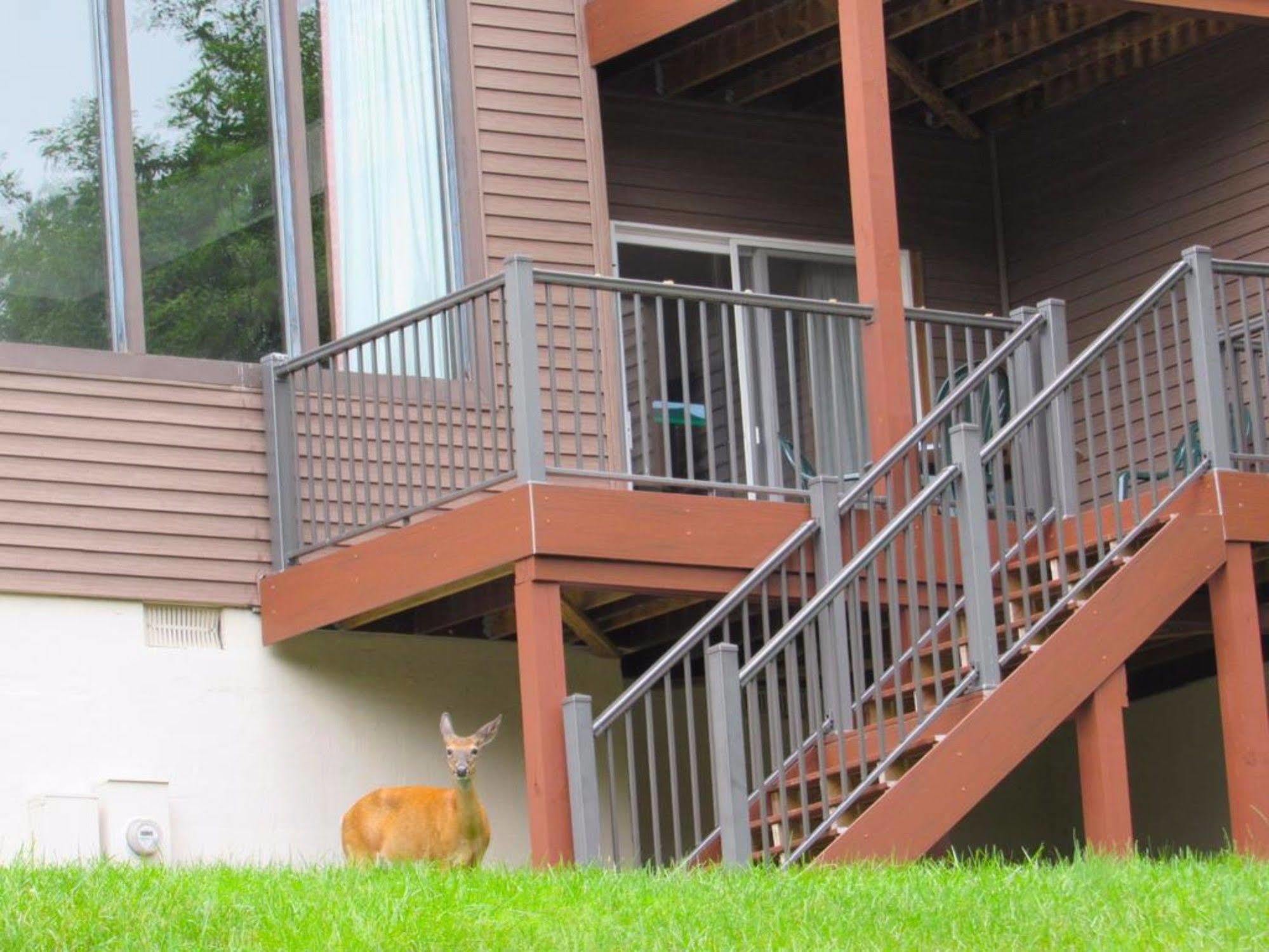 Mountainside Villas At Massanutten By Kees Vacations 맥가헤이스빌 외부 사진